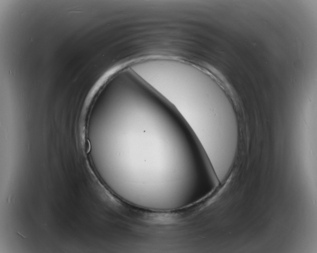 X0000085281188200703090930