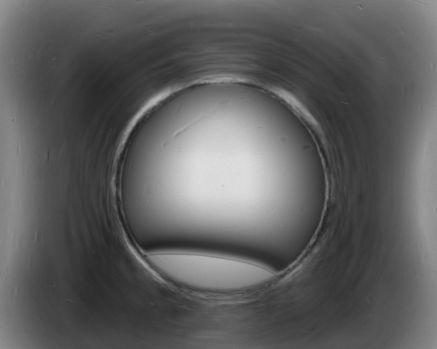 X0000085281189200703090930