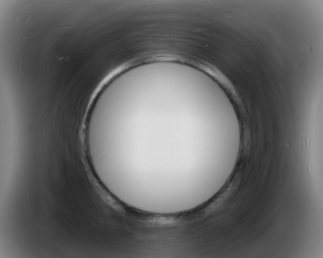 X0000085281190200703090930