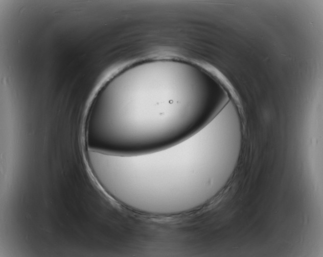 X0000085281191200703090930