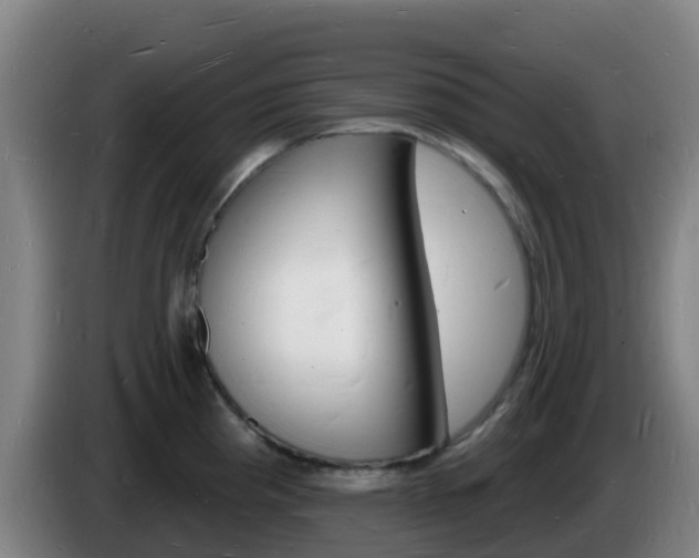 X0000085281193200703090930