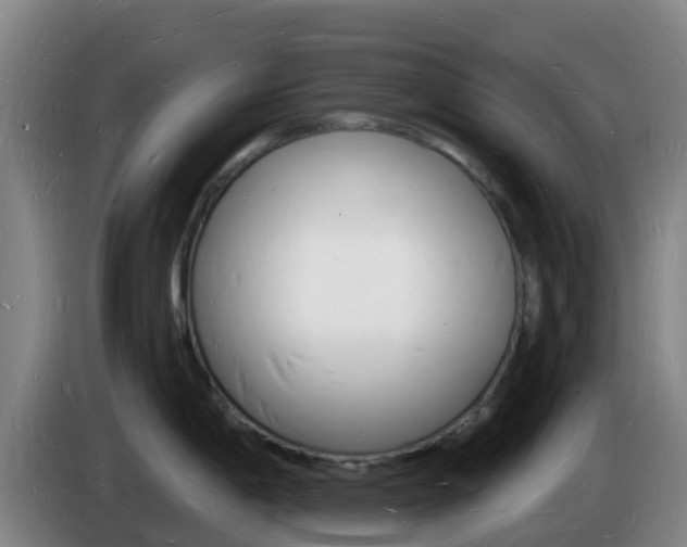 X0000085281198200703090930