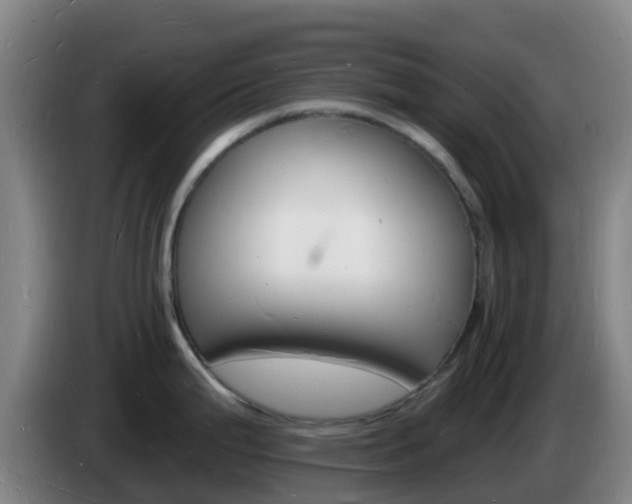 X0000085281199200703090930