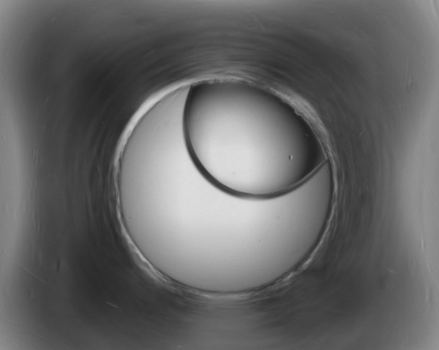 X0000085281200200703090930