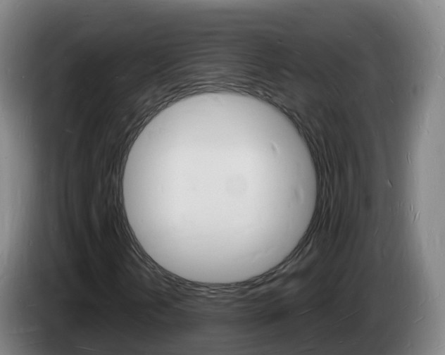X0000085281202200703090929