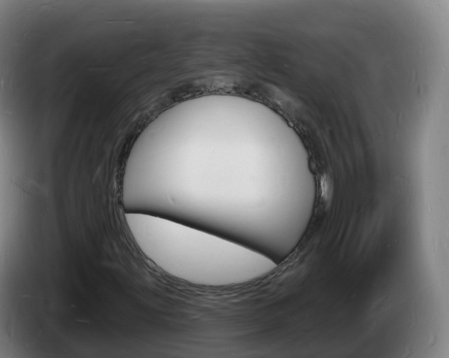 X0000085281203200703090929