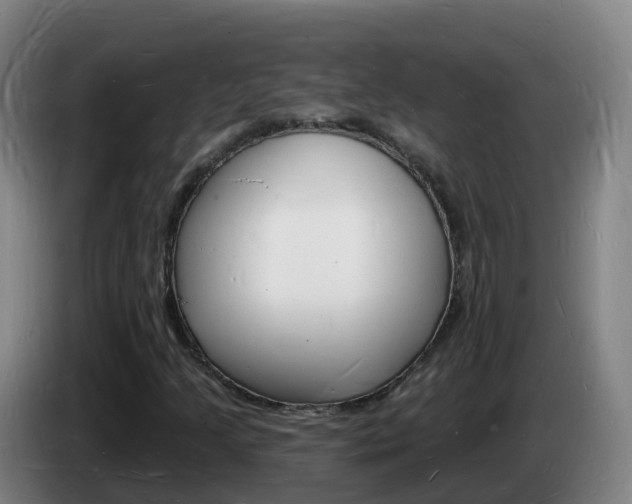 X0000085281205200703090929
