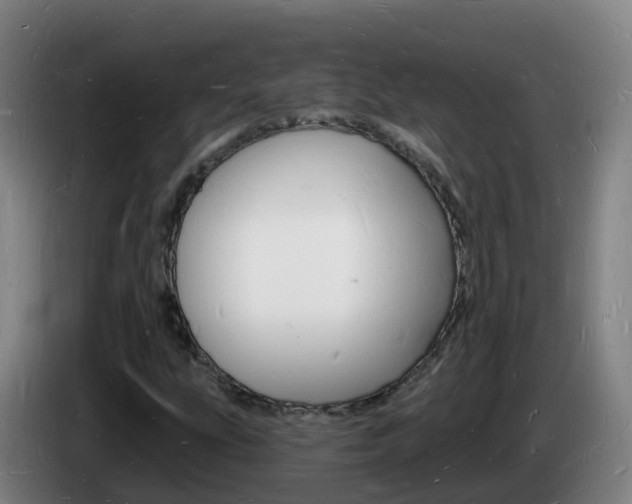 X0000085281207200703090929