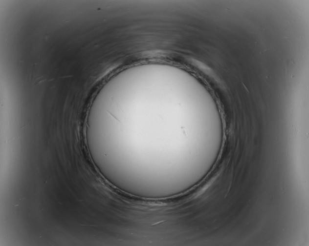 X0000085281209200703090929
