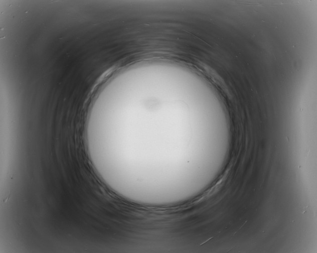 X0000085281210200703090929