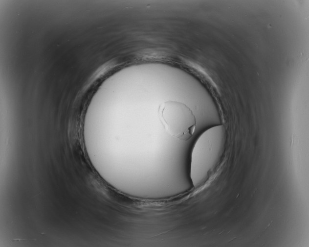 X0000085281211200703090929