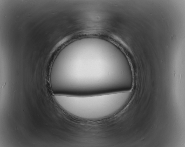 X0000085281213200703090929