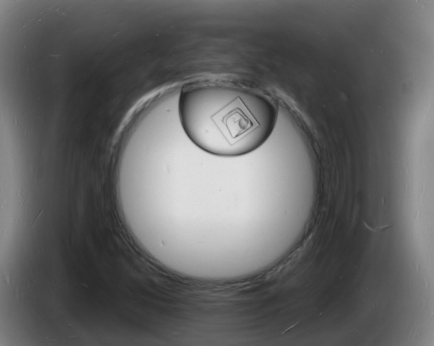 X0000085281214200703090929