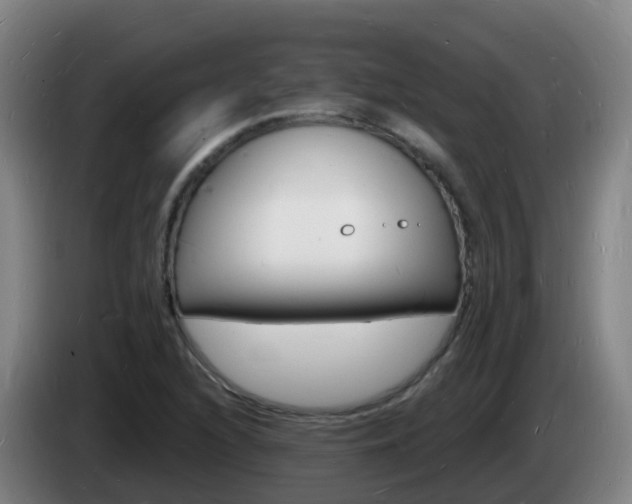 X0000085281216200703090929