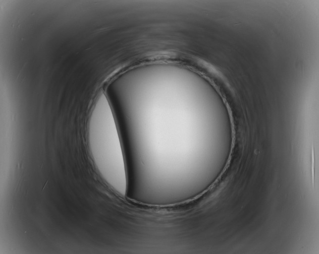 X0000085281217200703090929