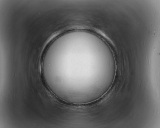 X0000085281221200703090929