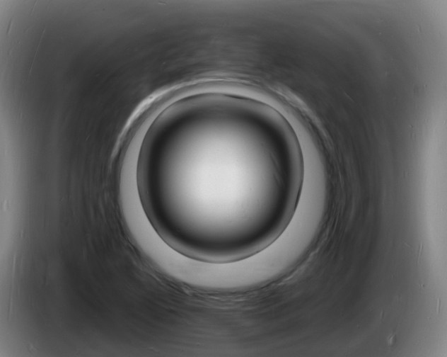 X0000085281222200703090929