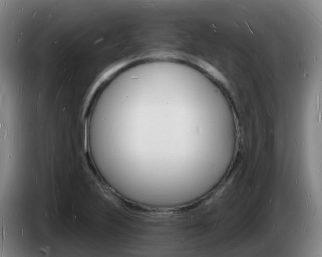 X0000085281223200703090929