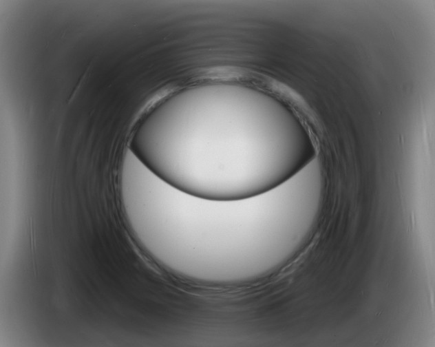 X0000085281225200703090929