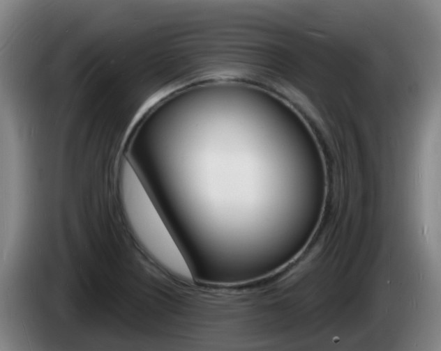 X0000085281226200703090929