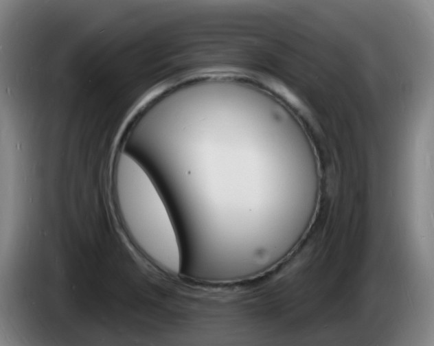 X0000085281229200703090929