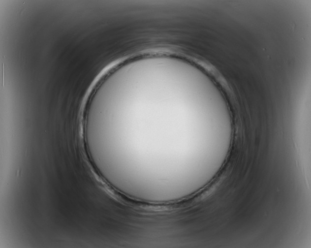 X0000085281232200703090929