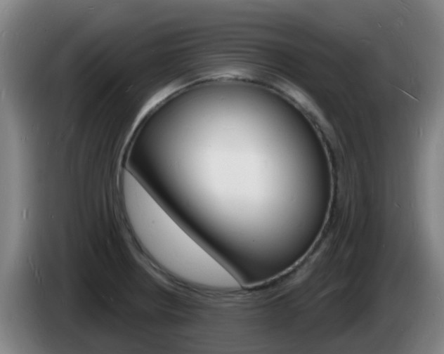 X0000085281234200703090929