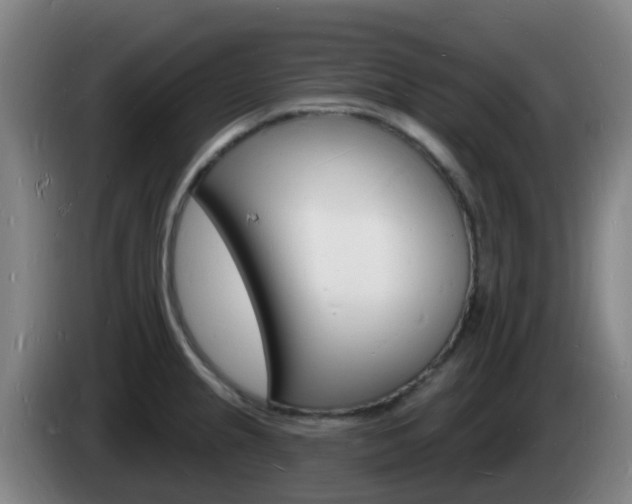 X0000085281237200703090929
