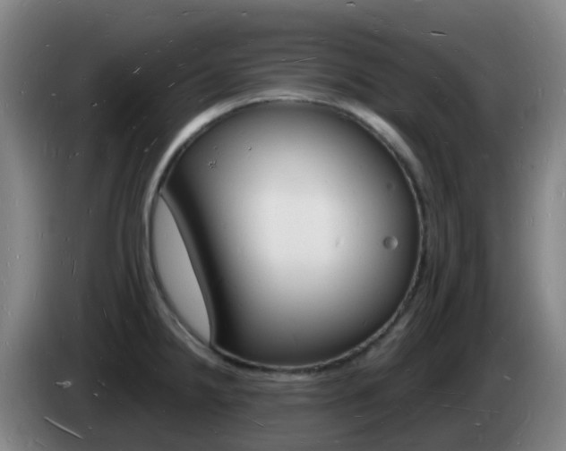 X0000085281238200703090929