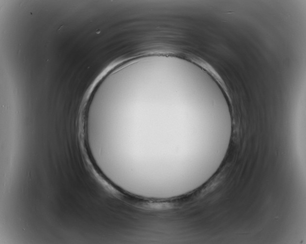 X0000085281243200703090930