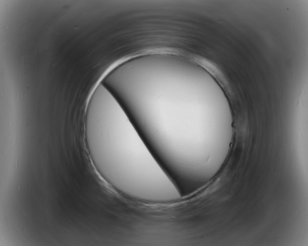 X0000085281244200703090930
