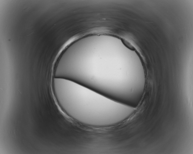X0000085281245200703090930