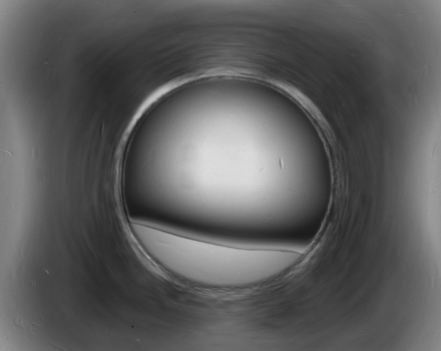 X0000085281246200703090930