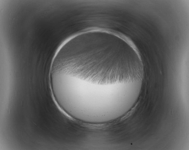 X0000085281247200703090930