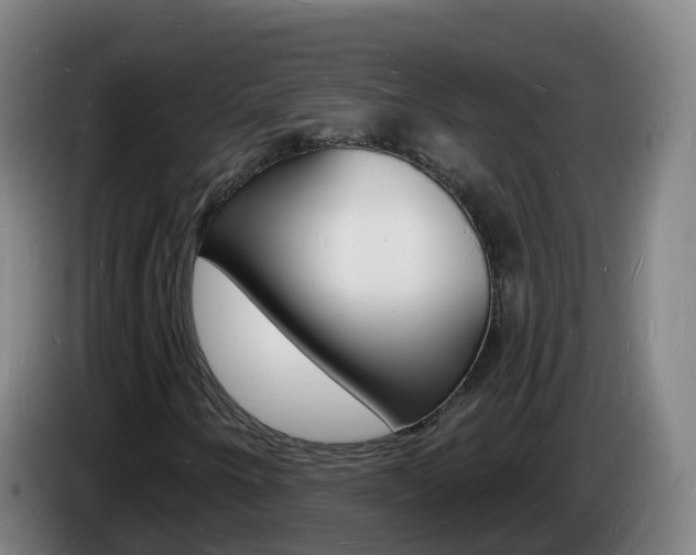 X0000085281250200703090929