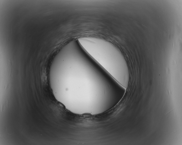 X0000085281252200703090929