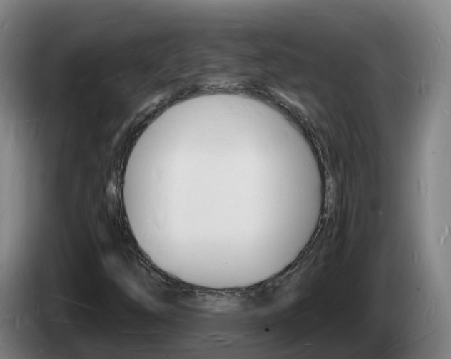 X0000085281254200703090929