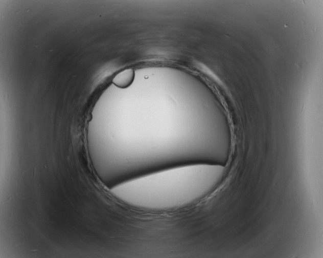 X0000085281259200703090929