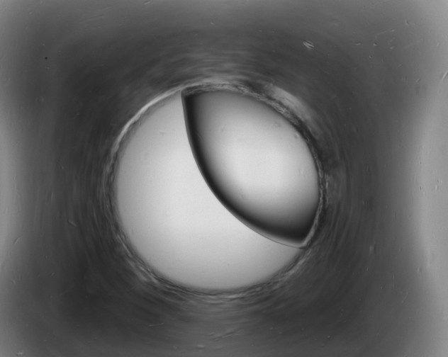 X0000085281260200703090929