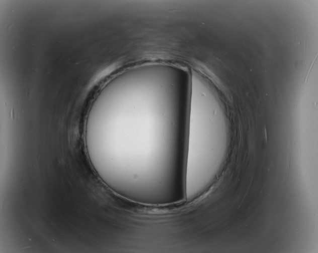 X0000085281261200703090929