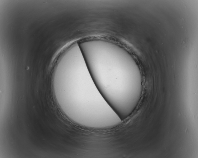 X0000085281262200703090929