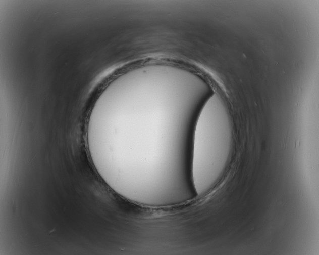 X0000085281263200703090929