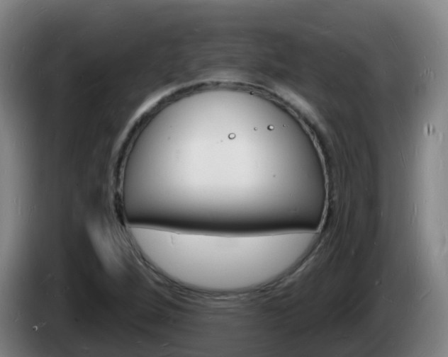 X0000085281264200703090929