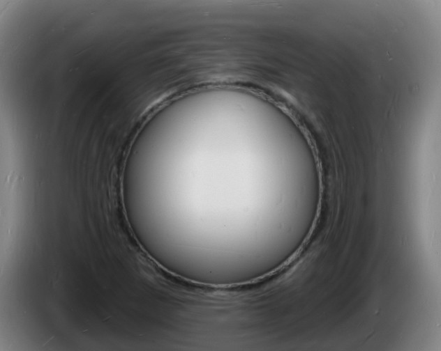 X0000085281265200703090929