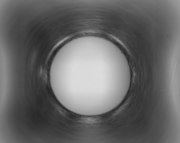 X0000085281266200703090929