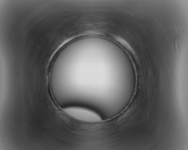 X0000085281268200703090929