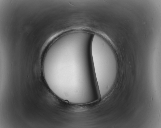 X0000085281270200703090929