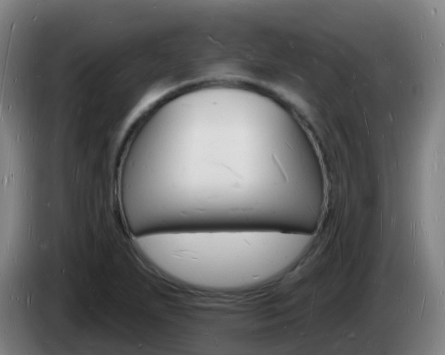 X0000085281271200703090929