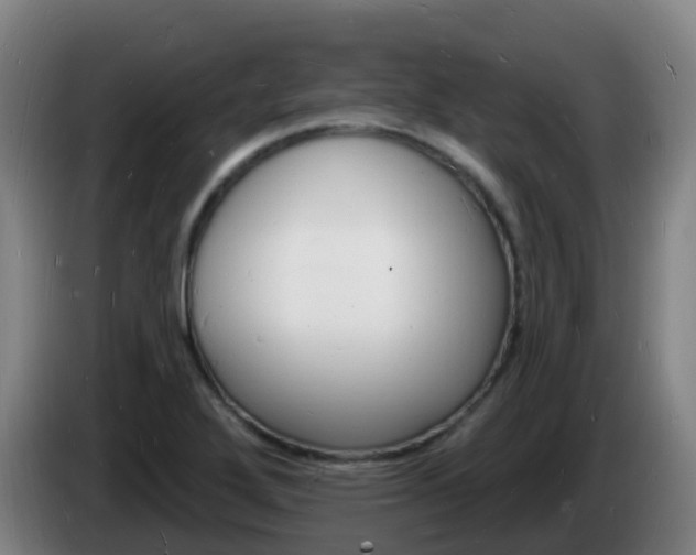 X0000085281272200703090929