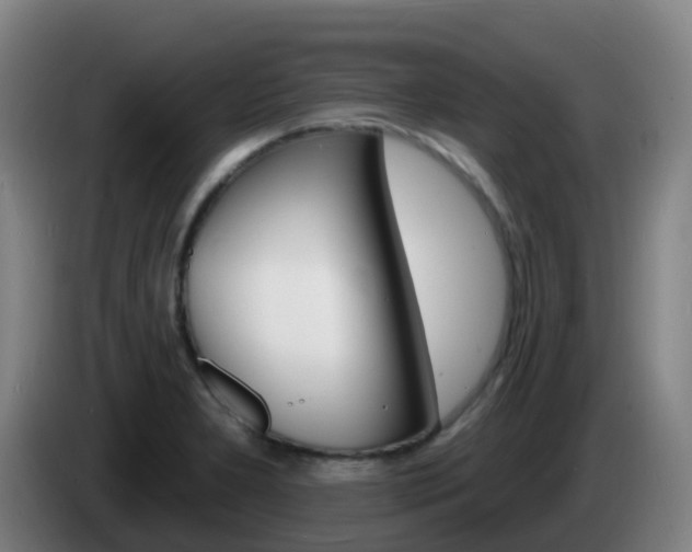 X0000085281277200703090929